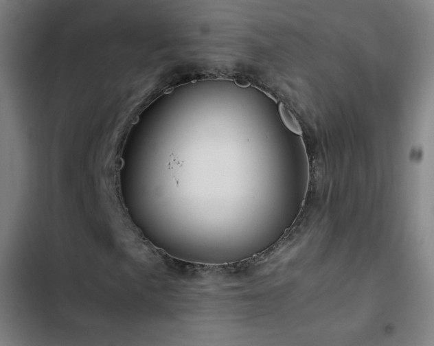 X0000103331057200809051204