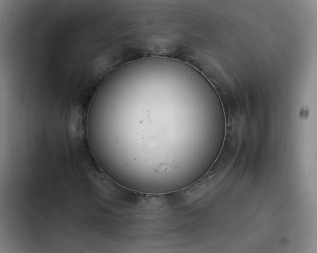 X0000103331058200809051204