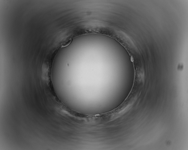 X0000103331060200809051204