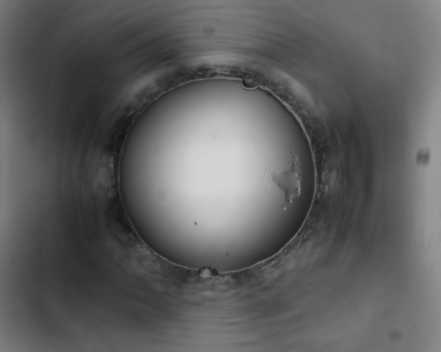 X0000103331062200809051204