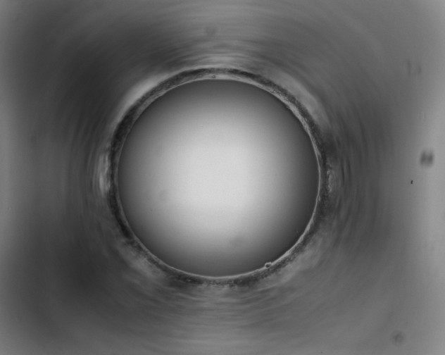 X0000103331069200809051204