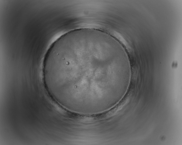 X0000103331071200809051204