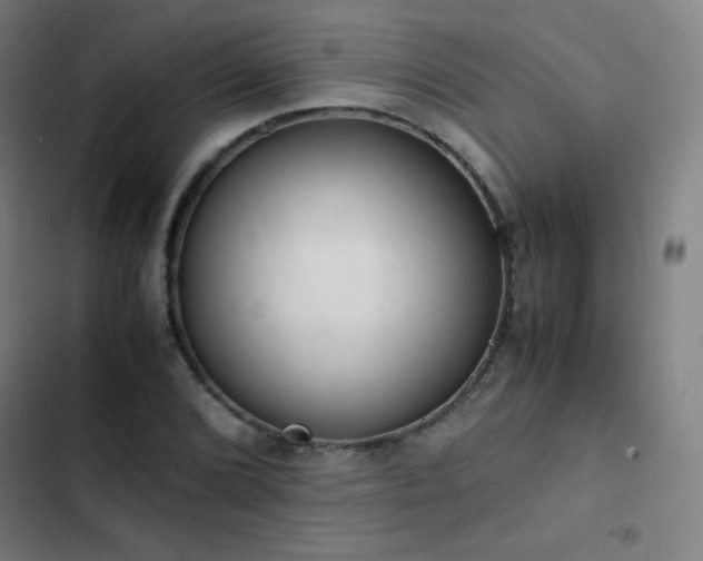 X0000103331072200809051204