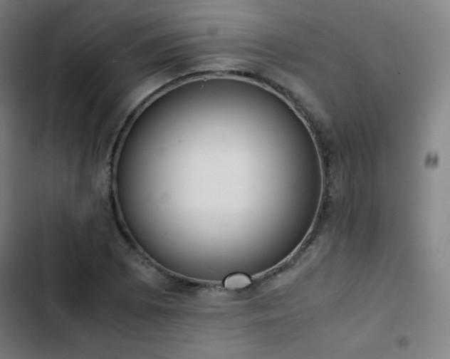 X0000103331073200809051204