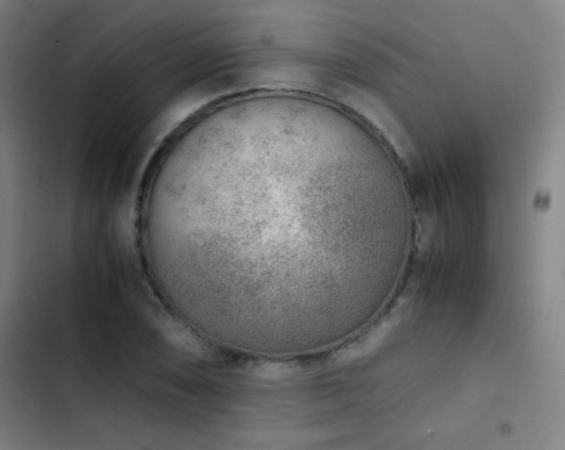 X0000103331074200809051204