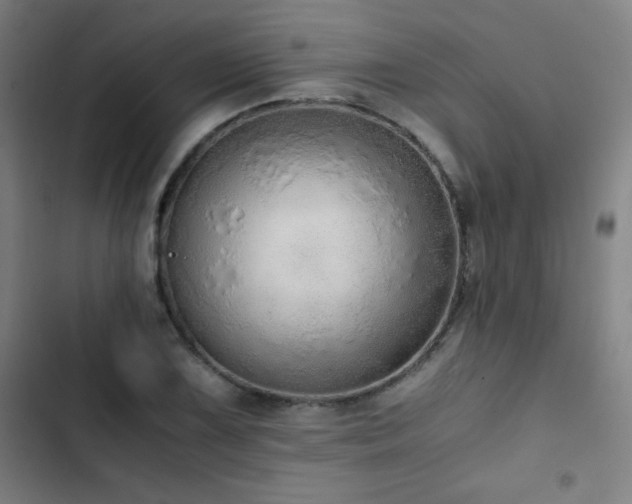 X0000103331075200809051204