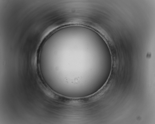 X0000103331078200809051204