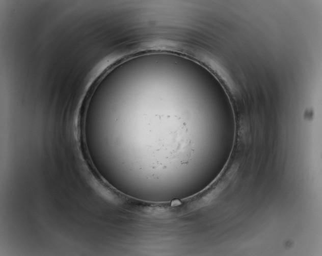X0000103331082200809051204