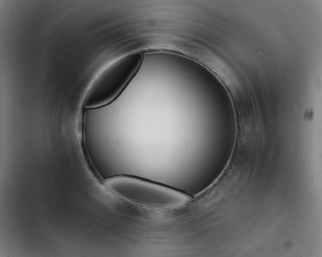 X0000103331084200809051204