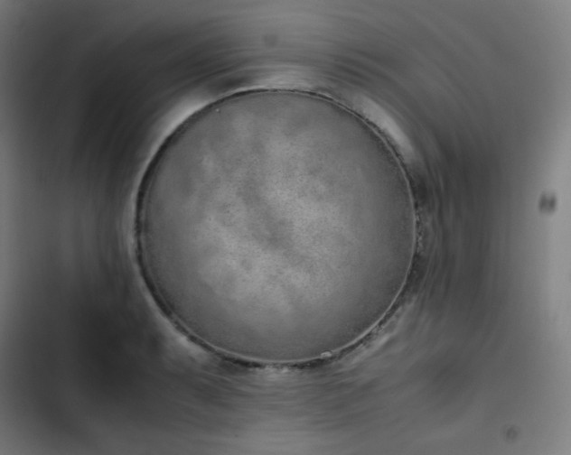 X0000103331087200809051204