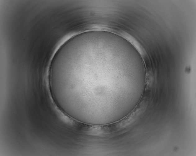 X0000103331098200809051204