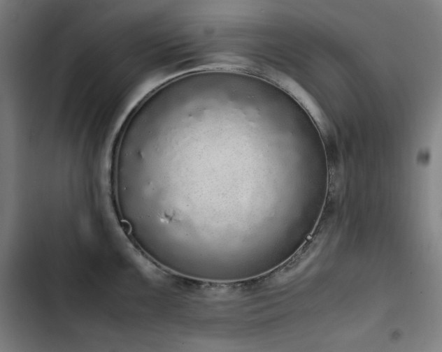 X0000103331099200809051204