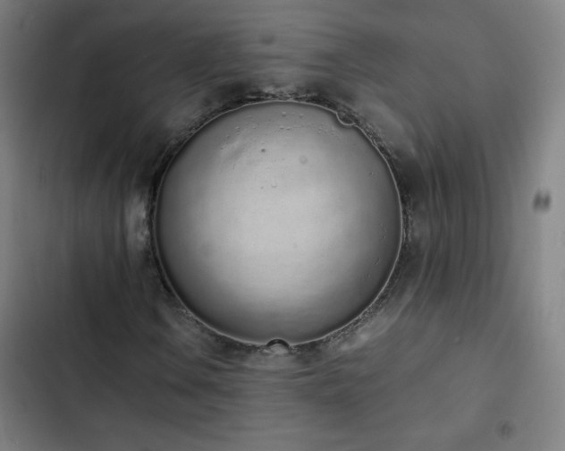 X0000103331106200809051203