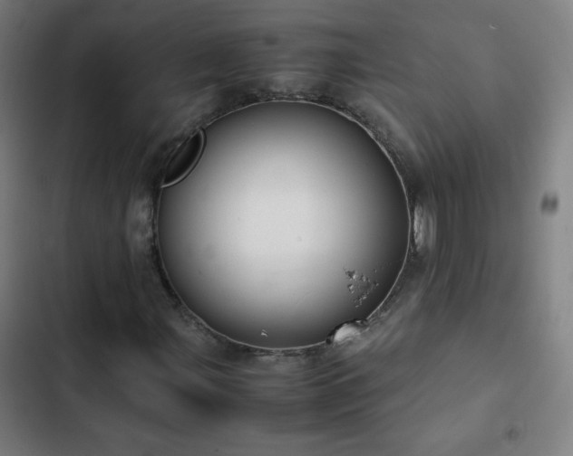 X0000103331107200809051203