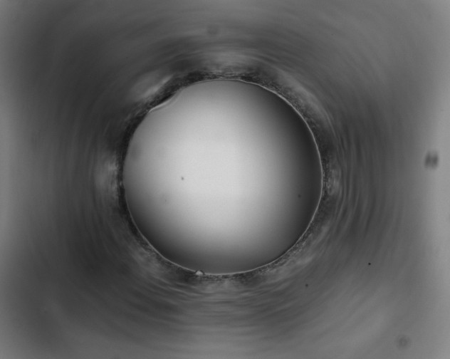 X0000103331108200809051203
