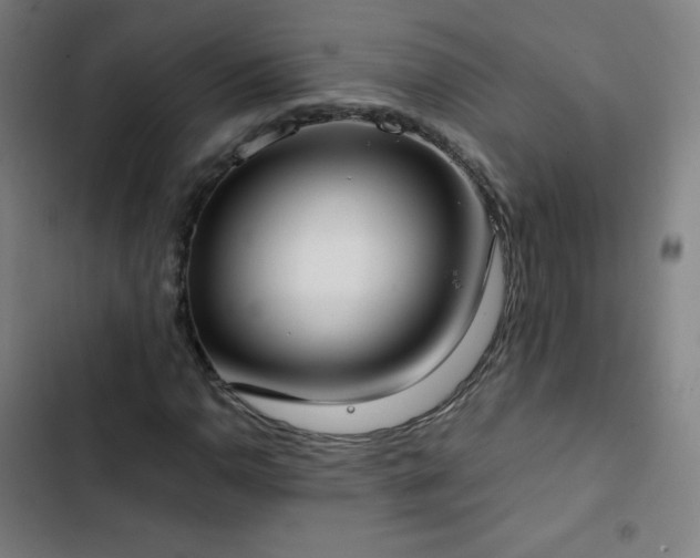 X0000103331110200809051203