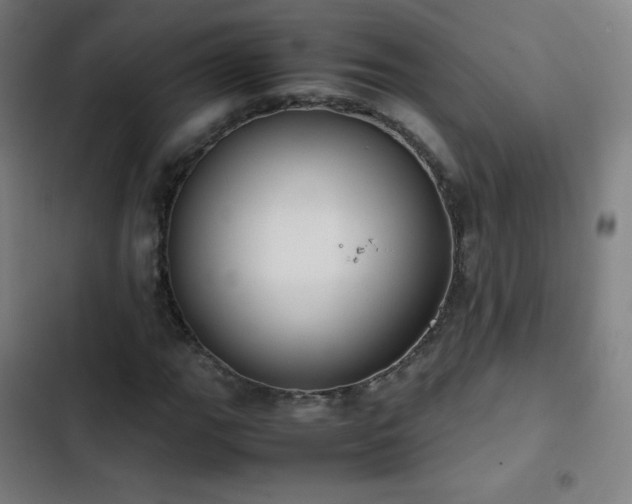 X0000103331111200809051203