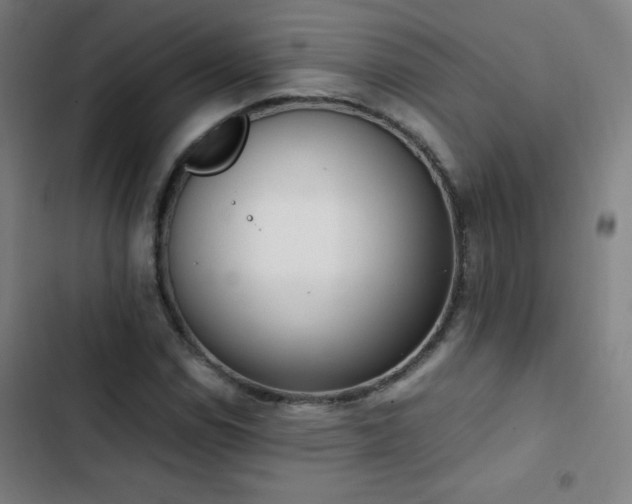 X0000103331114200809051203