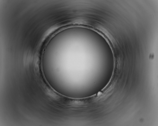 X0000103331115200809051203
