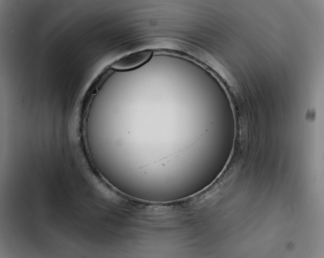 X0000103331116200809051203