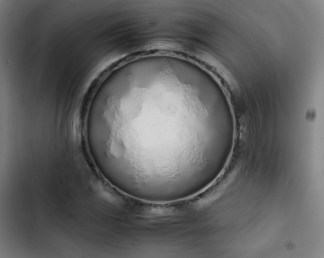 X0000103331117200809051203