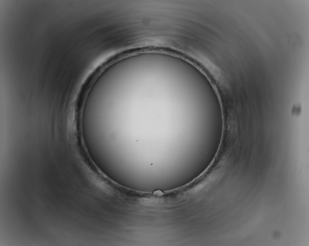 X0000103331118200809051203