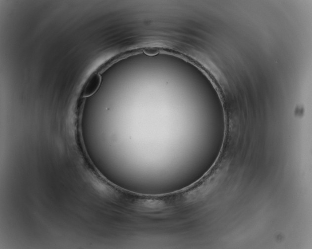 X0000103331119200809051203