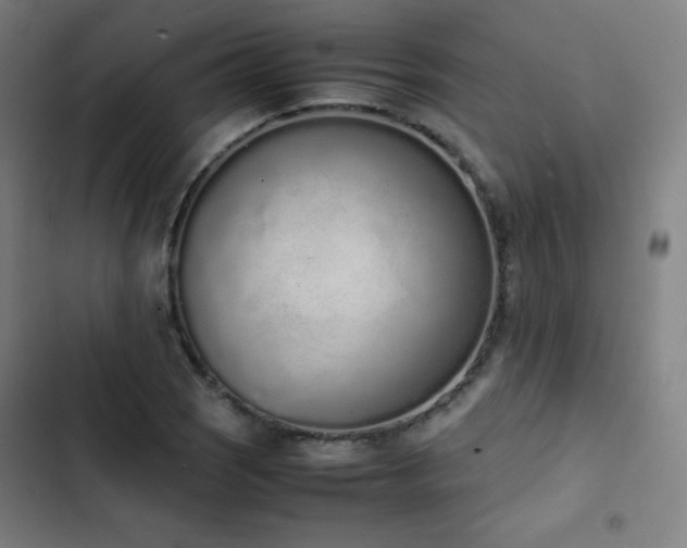 X0000103331121200809051203