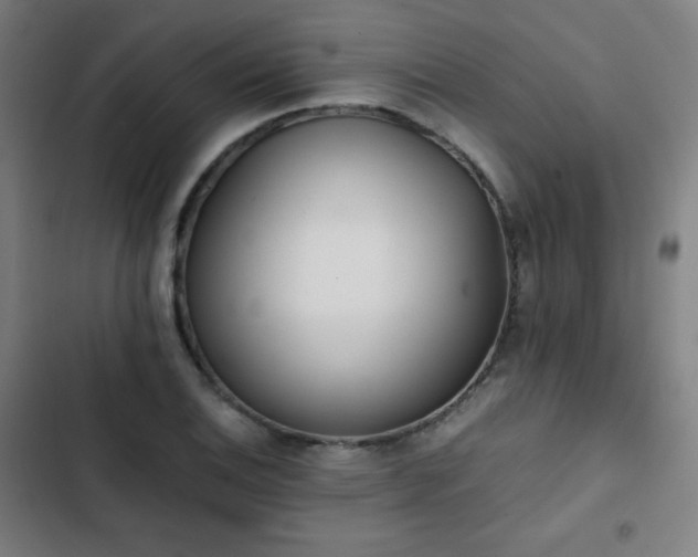 X0000103331124200809051203