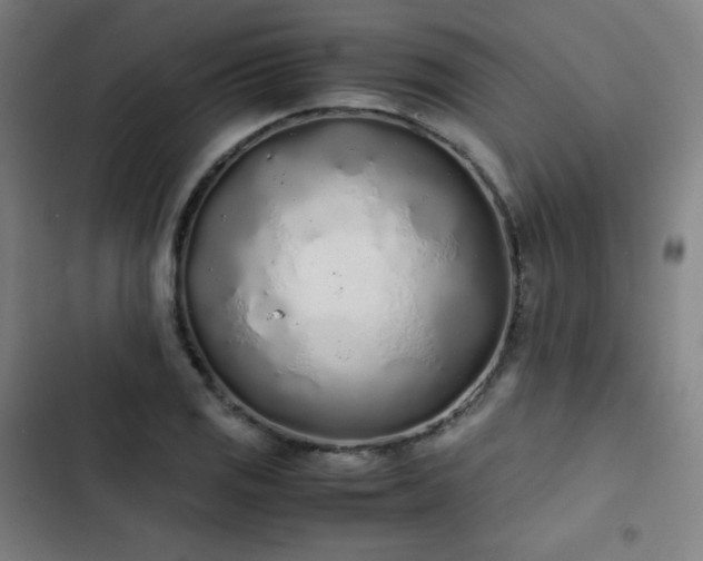 X0000103331125200809051203