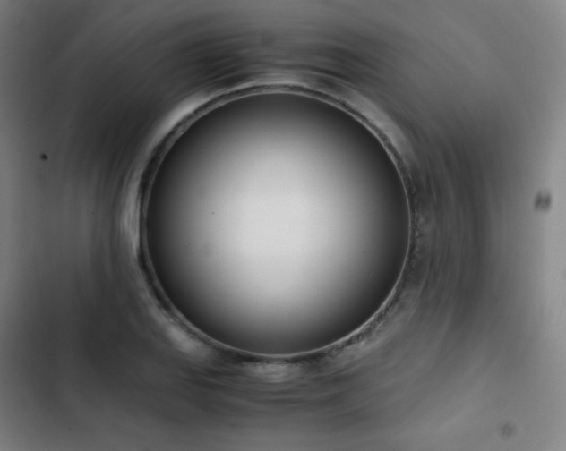 X0000103331127200809051203