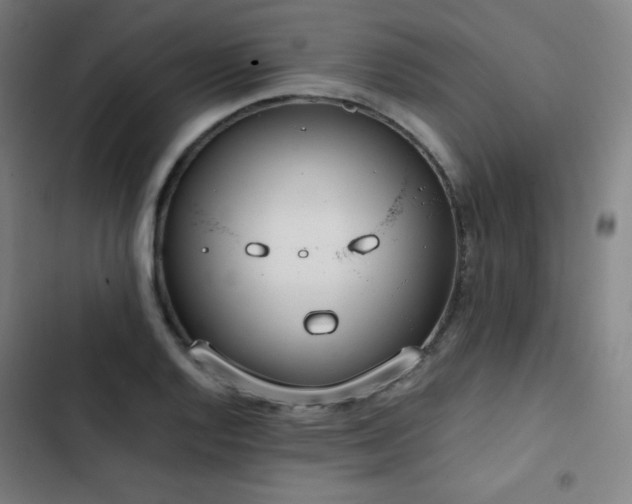 X0000103331128200809051203