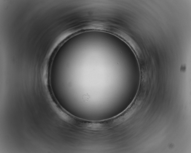 X0000103331131200809051203