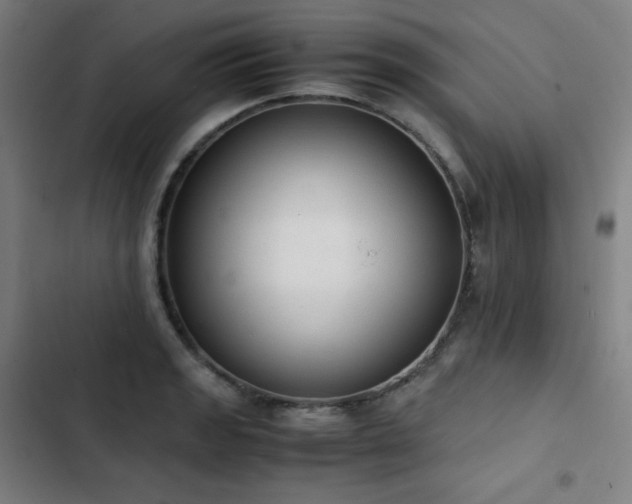 X0000103331133200809051203