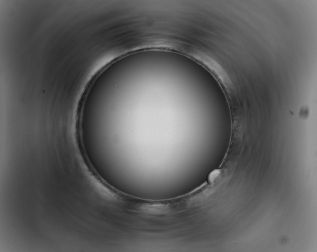 X0000103331135200809051204