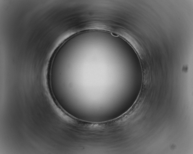 X0000103331139200809051204