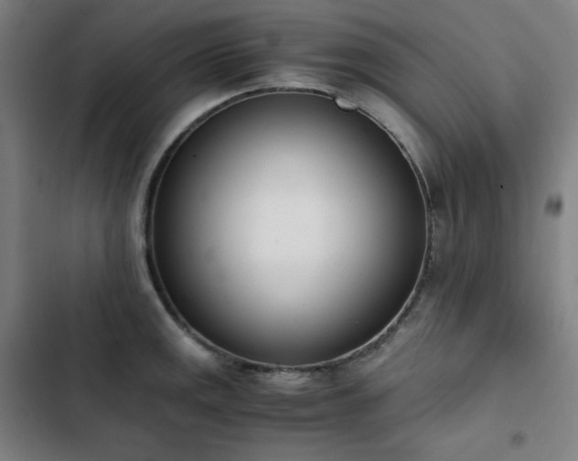 X0000103331141200809051204