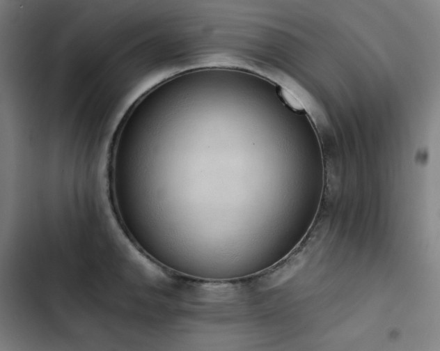 X0000103331142200809051204