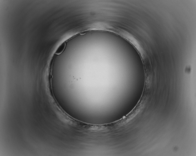 X0000103331146200809051204