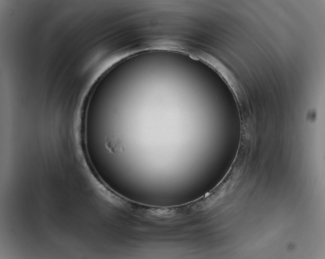 X0000103331147200809051204