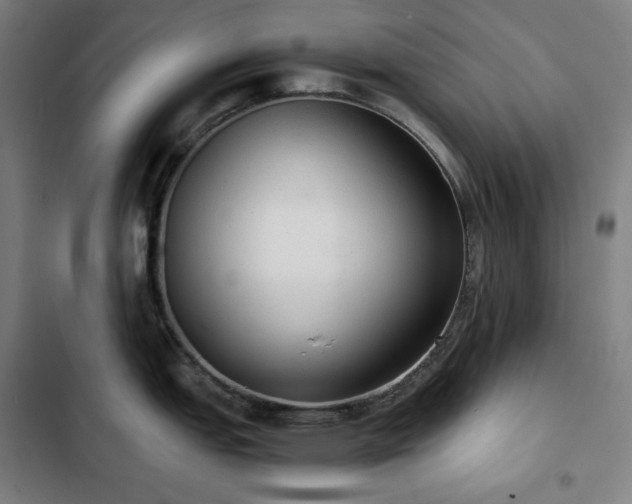 X0000103331151200809051204