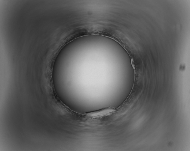 X0000103331153200809051203