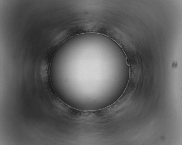 X0000103331154200809051203