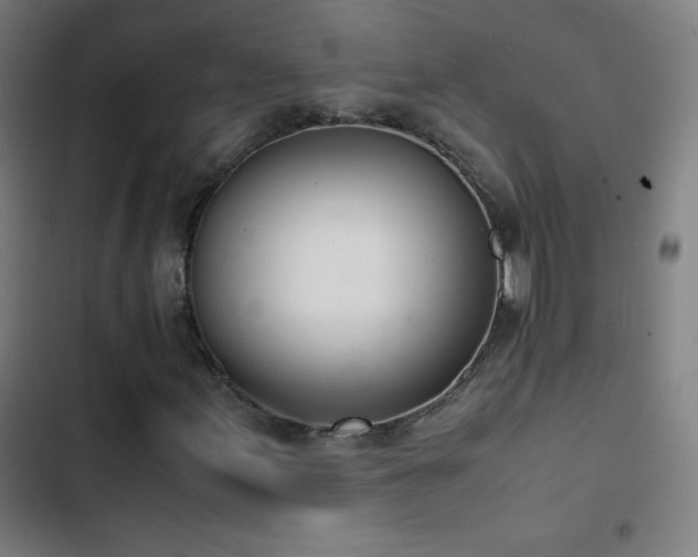 X0000103331155200809051203