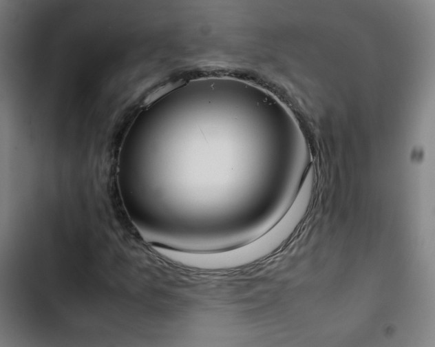 X0000103331157200809051203