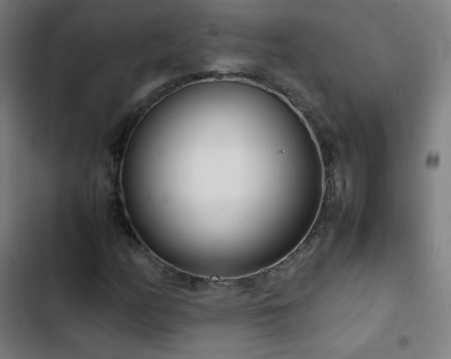 X0000103331158200809051203