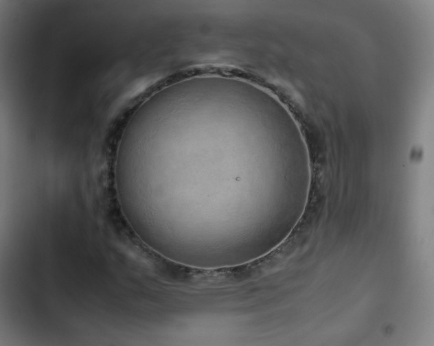 X0000103331159200809051203
