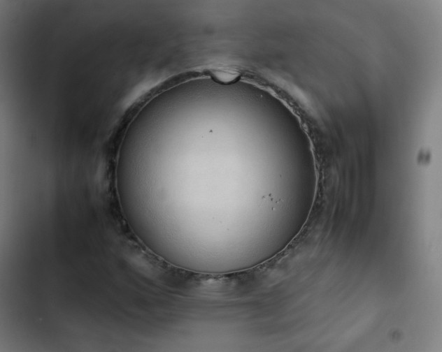 X0000103331160200809051203