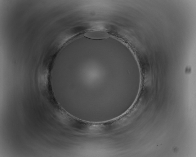 X0000103331161200809051203