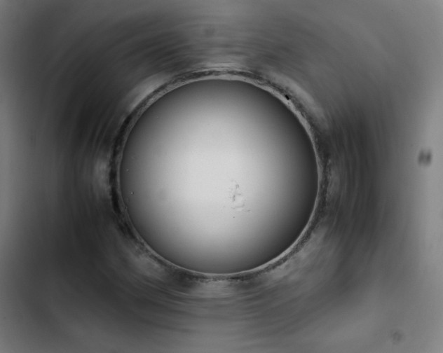 X0000103331162200809051203